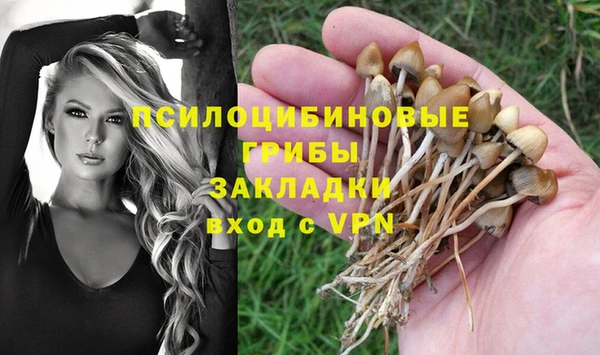 меф Рославль